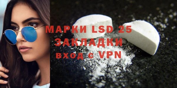 СК Бикин