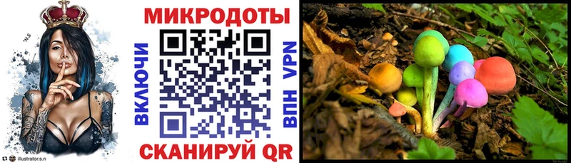 Псилоцибиновые грибы MAGIC MUSHROOMS  Кирсанов 